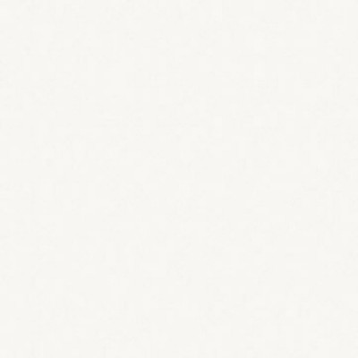 Kronospan 0110 SM Белый/Белый корпусный 10мм