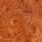 Стінпанель LuxeForm W225 Корінь троянди 3050х600