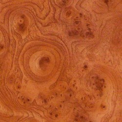 Стінпанель LuxeForm W225 Корінь троянди 3050х600