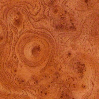 Стінпанель LuxeForm W225 Корінь троянди 3050х600