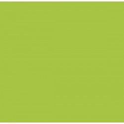 ДСП Swisspan Лайм